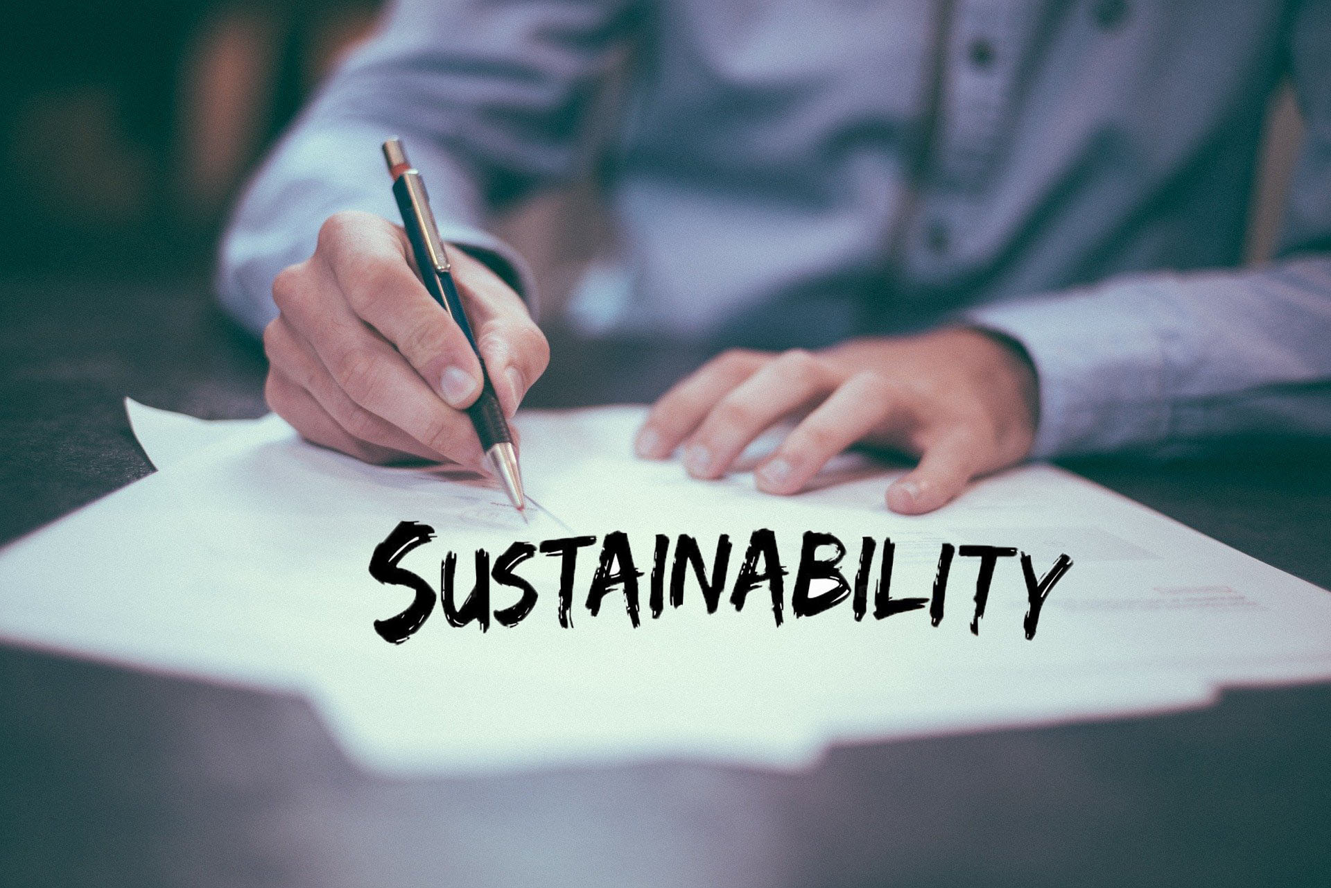Sustainability: Definition and Why Is It Important with Practical